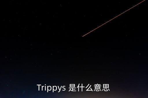 普惠端是什么意思，HONDY是什么意思