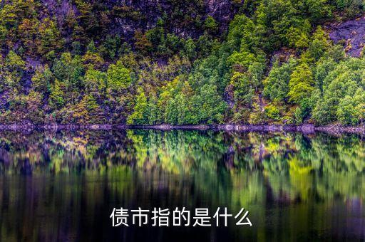 債市是什么，債市是什么