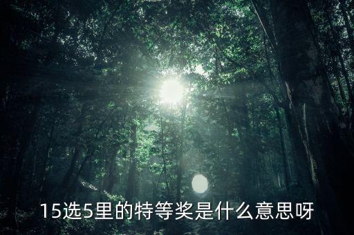 15選5 什么是特等獎，15選5 怎么算中特等獎