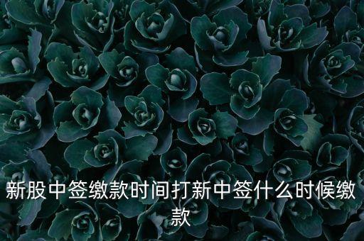 新股中簽繳款時(shí)間打新中簽什么時(shí)候繳款