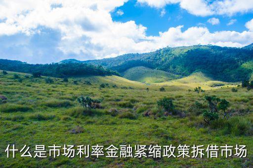 什么是市場(chǎng)利率金融緊縮政策拆借市場(chǎng)