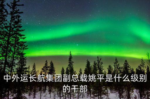 中外運(yùn)長(zhǎng)航集團(tuán)副總載姚平是什么級(jí)別的干部