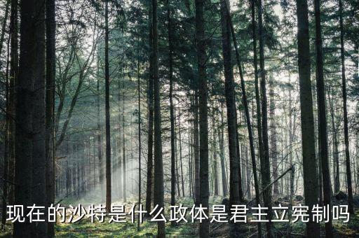 沙特是什么派別，阿拉伯人分幾派沙特屬于什么派
