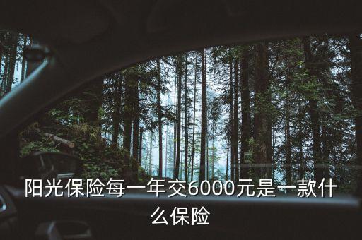 陽(yáng)光人壽萬(wàn)能險(xiǎn)每年6000保什么，陽(yáng)光保險(xiǎn)每一年交6000元是一款什么保險(xiǎn)
