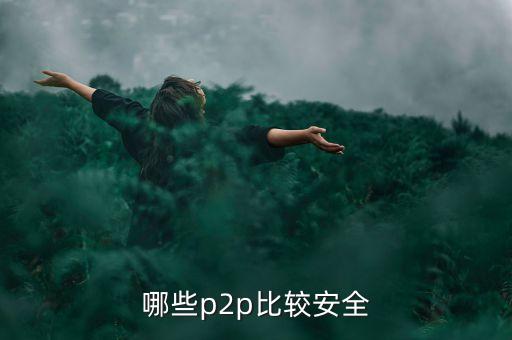 現(xiàn)在什么p2p最安全，哪些p2p比較安全
