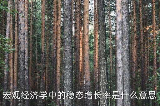 什么是經(jīng)濟學中的穩(wěn)態(tài)，宏觀經(jīng)濟學中穩(wěn)定狀態(tài)的名詞解釋是什么