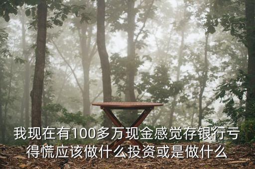 2016年存款不行該投資什么，我現(xiàn)在有100多萬現(xiàn)金感覺存銀行虧得慌應(yīng)該做什么投資或是做什么