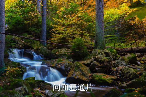 血塞通是什么藥，問血塞通片