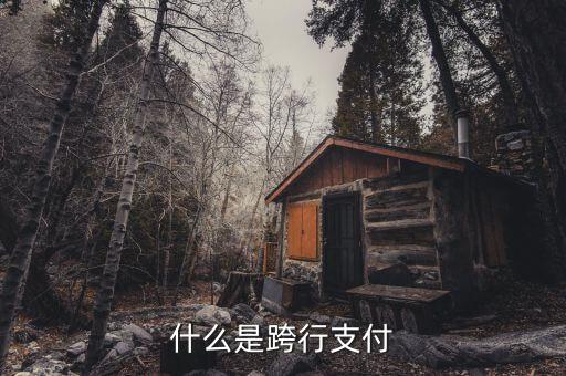 什么是跨行清算，什么叫跨行
