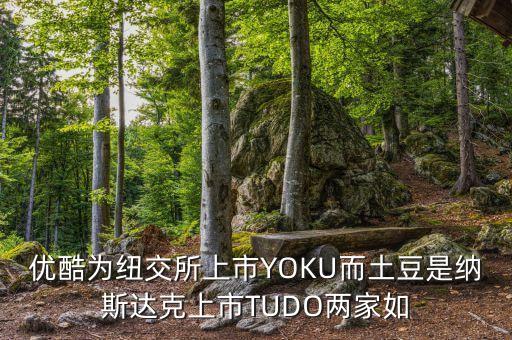 優(yōu)酷為紐交所上市YOKU而土豆是納斯達克上市TUDO兩家如
