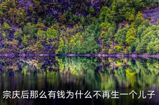 宗慶后那么有錢為什么不再生一個兒子