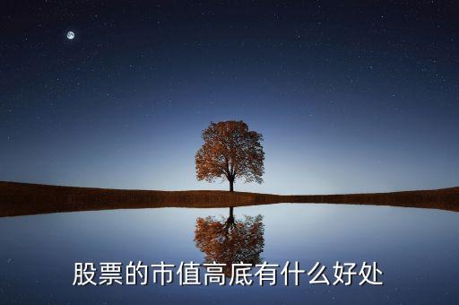 市值高說明什么，假如某上市公司市值超過一千億元人民幣但一年收入幾十億人民幣