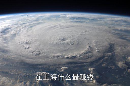 上海做什么暴利，在上海什么最賺錢