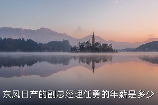 任勇為什么不是東風(fēng)公司副總，東風(fēng)日產(chǎn)任勇總經(jīng)理