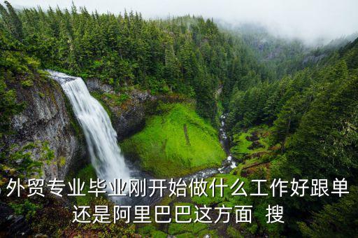 外貿(mào)專業(yè)畢業(yè)剛開始做什么工作好跟單還是阿里巴巴這方面  搜