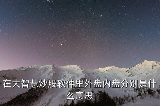 大智慧內(nèi)盤是什么意思，大智慧上顯示的內(nèi)盤外盤數(shù)據(jù)是什么意思
