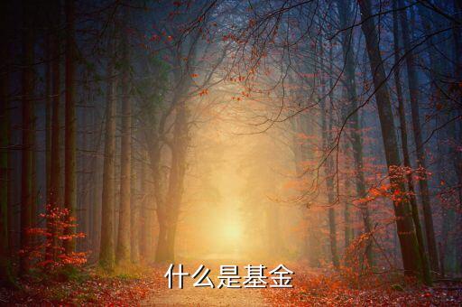 基金是一種什么工具，什么是基金