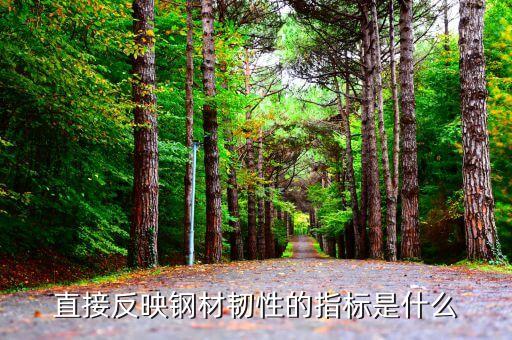 直接反映鋼材韌性的指標是什么