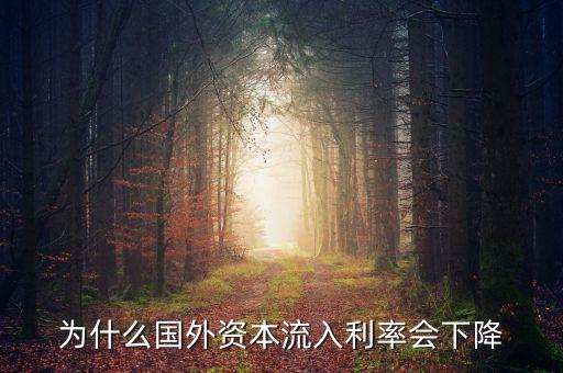 為什么國(guó)外資本流入利率會(huì)下降