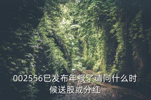 深圳能源什么時(shí)候送股，深圳能源什么時(shí)候送股