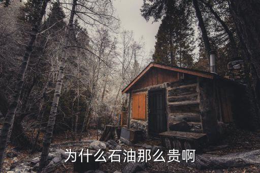 石油為什么這貴，石油為何那么貴