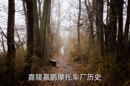 嘉陵嘉鵬摩托車(chē)廠(chǎng)歷史
