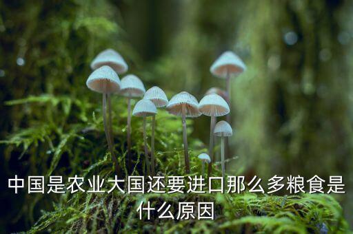 國內(nèi)糧食充裕為什么還要進口，為什么中國還要進口糧食