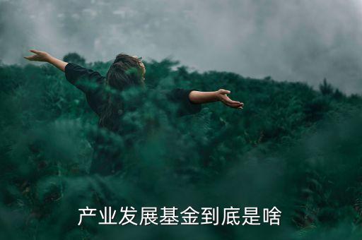 什么是產(chǎn)業(yè)基金，產(chǎn)業(yè)發(fā)展基金到底是啥
