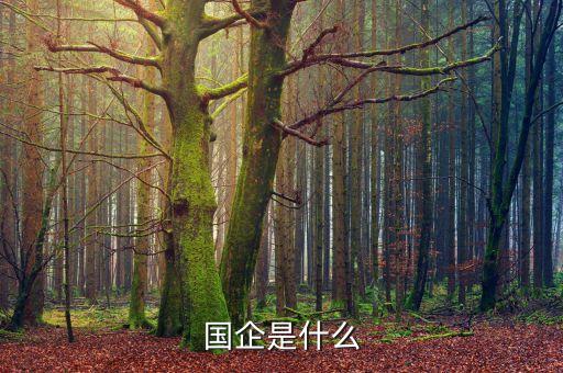 國(guó)企是干什么的，什么是國(guó)企