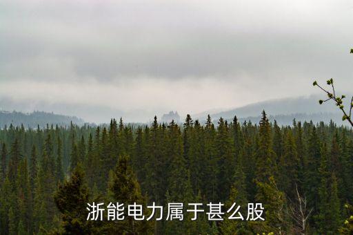 浙能電力屬于什么板塊，浙能電力屬于甚么股
