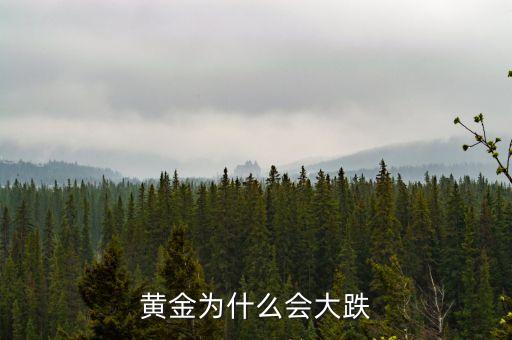 黃金為什么會(huì)大跌