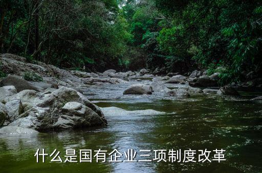 新鋼公司三項(xiàng)制度改革是什么，什么是國有企業(yè)三項(xiàng)制度改革