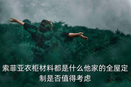 索菲亞用的什么膠，索菲亞移門用的是毛條還是膠條