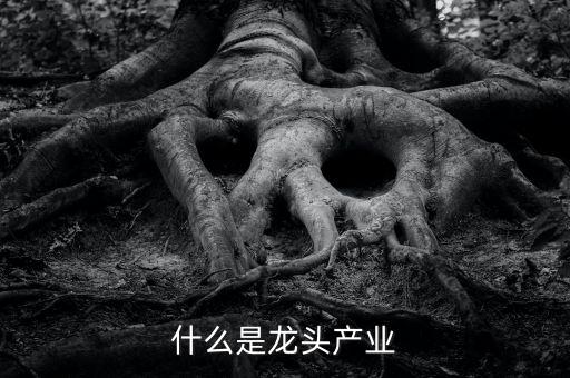 什么是龍頭產(chǎn)業(yè)