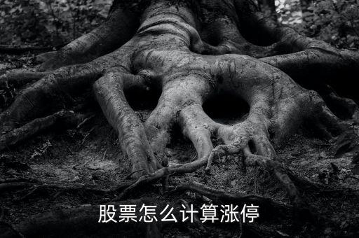 股票怎么計算漲停