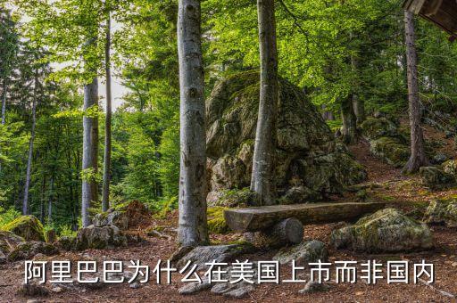 阿里巴巴為什么現(xiàn)在才上市，阿里巴巴為什么要上市