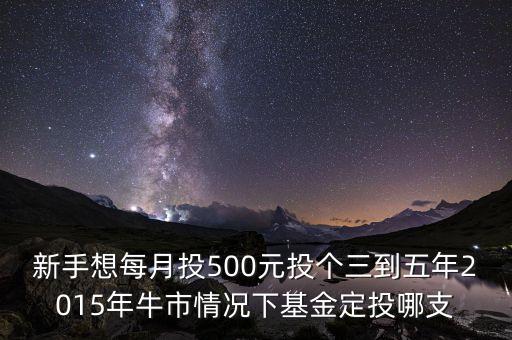 新手想每月投500元投個三到五年2015年牛市情況下基金定投哪支
