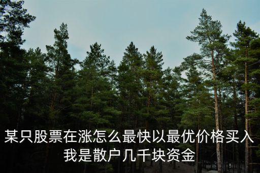 某只股票在漲怎么最快以最優(yōu)價(jià)格買入我是散戶幾千塊資金