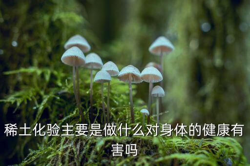 贛州稀土主要做什么的，稀土化驗(yàn)主要是做什么對(duì)身體的健康有害嗎