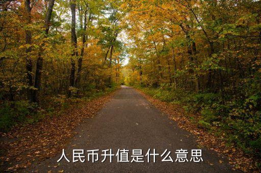 什么是升值，升值是什么意思
