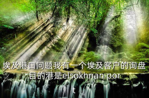 埃及港口問題我有一個埃及客戶的詢盤目的港是elsokhnan port