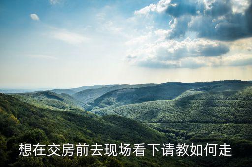 想在交房前去現(xiàn)場看下請教如何走