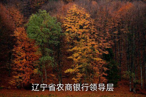 遼寧什么信用聯(lián)社理事長(zhǎng)名單，遼寧省農(nóng)村信用社聯(lián)合社現(xiàn)在叫什么名