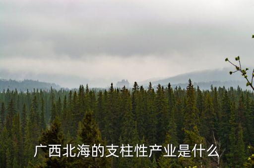 廣西支柱產(chǎn)業(yè)是什么，現(xiàn)在廣西省的三大支柱產(chǎn)業(yè)是什么
