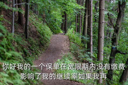 你好我的一個(gè)保單在寬限期內(nèi)沒有繳費(fèi)影響了我的繼續(xù)率如果我再