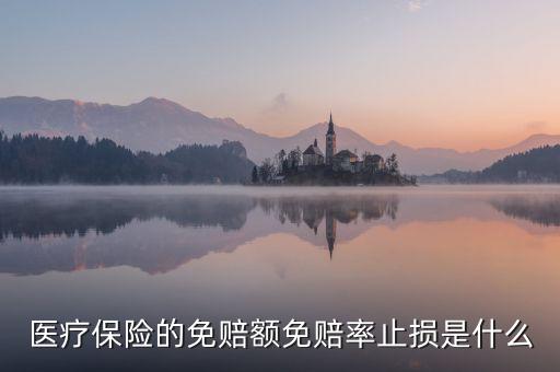 醫(yī)療保險的免賠額免賠率止損是什么