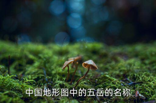 登海五岳21是什么軸，我家玉米登海五岳21不足一米就抽穗了還能結棒嗎
