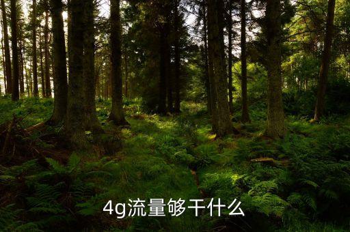 4g流量能干什么，4g流量夠干什么