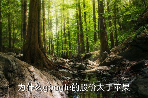 為什么google股票比apple貴，為什么微軟的股價比硅谷其他巨頭比如蘋果Google低那么多