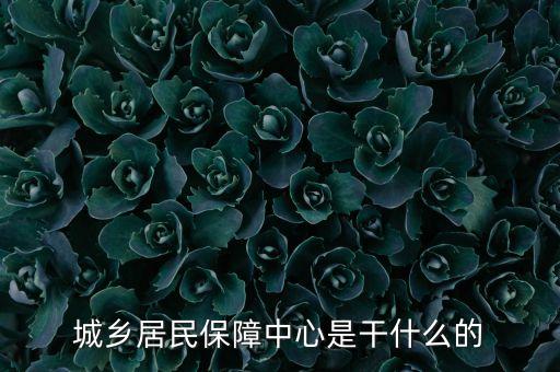 城鄉(xiāng)居保是什么，何為城鄉(xiāng)居保